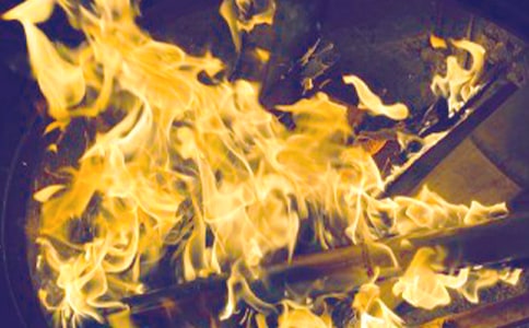 �����������15ƪ