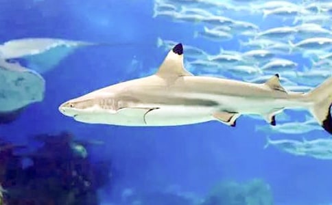 �Һ���׃�����~_�P(gu��n)�ډ�(m��ng)��������