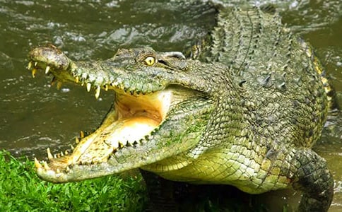 �{�~������15ƪ