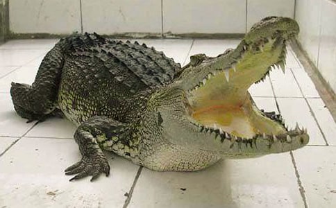 �{�~�������B����