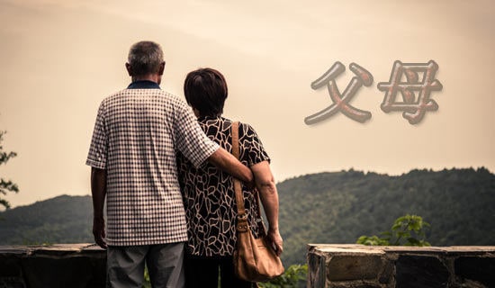 給父母的感謝信范例(15篇)