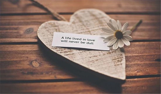 2023年通用愛情的情感句子匯編58句