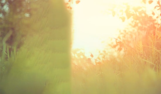 唯美動人的深情情書4篇