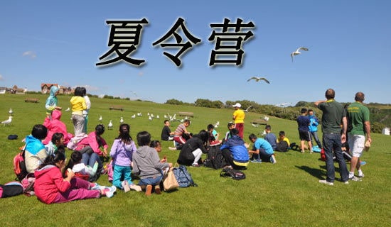 ��پW(w��ng)�j(lu��)����I��ӿ��Y(ji��)